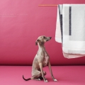 Material Studio Els van t Klooster Blanket Design dutch design Textielmuseum
